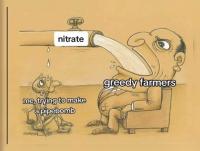 komentarz obrazkowy