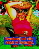 komentarz obrazkowy