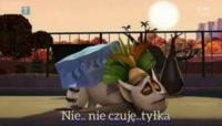 komentarz obrazkowy