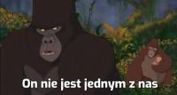 komentarz obrazkowy
