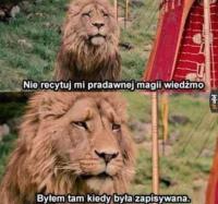 komentarz obrazkowy
