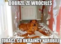 komentarz obrazkowy