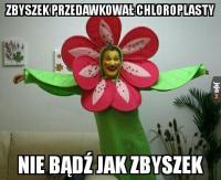 komentarz obrazkowy