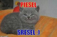 komentarz obrazkowy