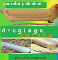 komentarz obrazkowy