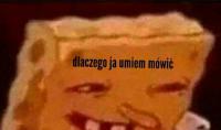 komentarz obrazkowy
