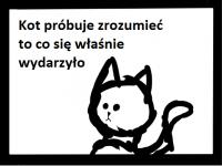 komentarz obrazkowy