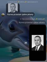 komentarz obrazkowy