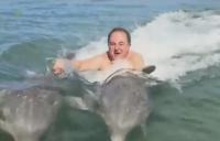 komentarz obrazkowy
