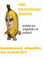 komentarz obrazkowy
