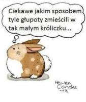 komentarz obrazkowy