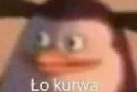 komentarz obrazkowy