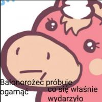 komentarz obrazkowy