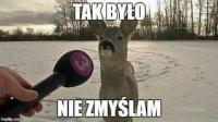 komentarz obrazkowy