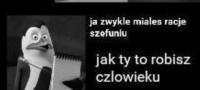 komentarz obrazkowy