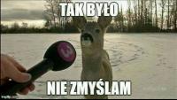 komentarz obrazkowy
