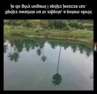 komentarz obrazkowy