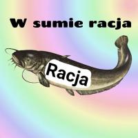 komentarz obrazkowy