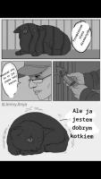 komentarz obrazkowy