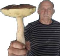 komentarz obrazkowy