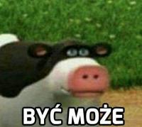 komentarz obrazkowy