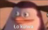 komentarz obrazkowy