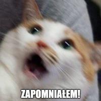 komentarz obrazkowy