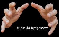 komentarz obrazkowy