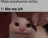 komentarz obrazkowy