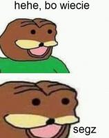 komentarz obrazkowy