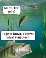 komentarz obrazkowy