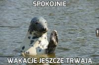 komentarz obrazkowy