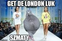 komentarz obrazkowy
