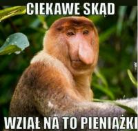 komentarz obrazkowy