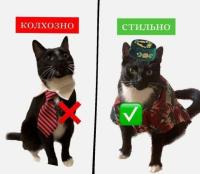 komentarz obrazkowy
