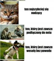 komentarz obrazkowy