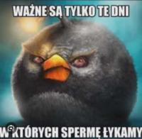 komentarz obrazkowy
