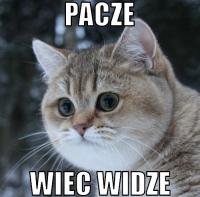 komentarz obrazkowy