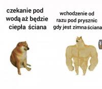 komentarz obrazkowy