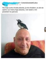 komentarz obrazkowy