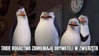komentarz obrazkowy