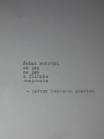 komentarz obrazkowy