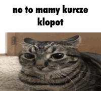 komentarz obrazkowy