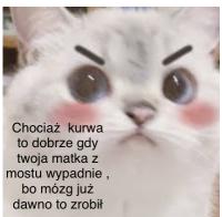komentarz obrazkowy