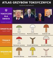 komentarz obrazkowy
