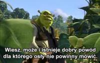 komentarz obrazkowy