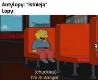 komentarz obrazkowy