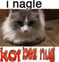 komentarz obrazkowy