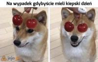 komentarz obrazkowy