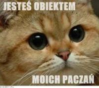 komentarz obrazkowy